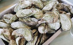 玉珠铉减肥瑜伽中文版下载